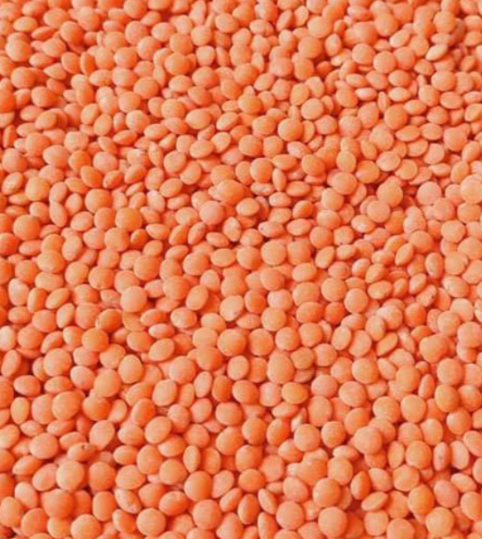 Masoor Dal (Red Lentils) is a popular Indian staple known for its delicious taste, quick cooking, and versatility. Perfect for everyday meals, dal fry, dal tadka, and dal rice.