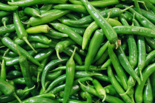 Fresh Green Chilli (Hara Mirch) with a crisp texture and spicy flavor. Perfect for curries, chutneys, vegetables, snacks, pickles, and everyday Indian cooking.